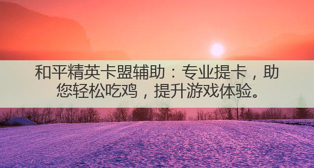 和平精英辅助提卡卡盟-和平精英辅助卡盟平台 稳定提卡防封